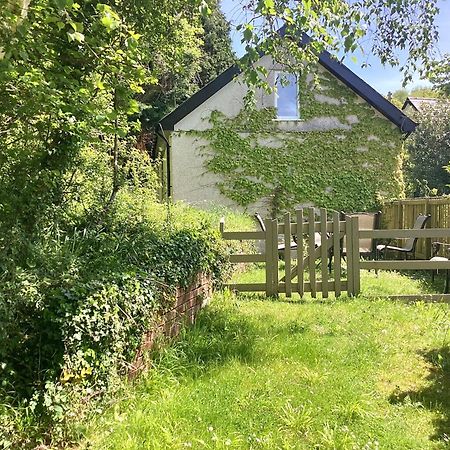 Y Bwthyn Appartement Bangor  Buitenkant foto